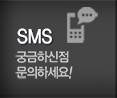 브라운빈 SMS